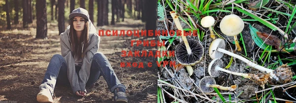 прущая мука Беломорск