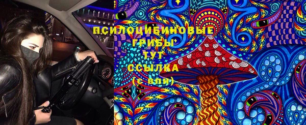 твердый Белоозёрский