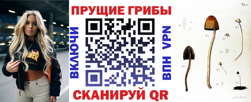 где купить наркоту  Улан-Удэ  ОМГ ОМГ онион  Галлюциногенные грибы мухоморы 